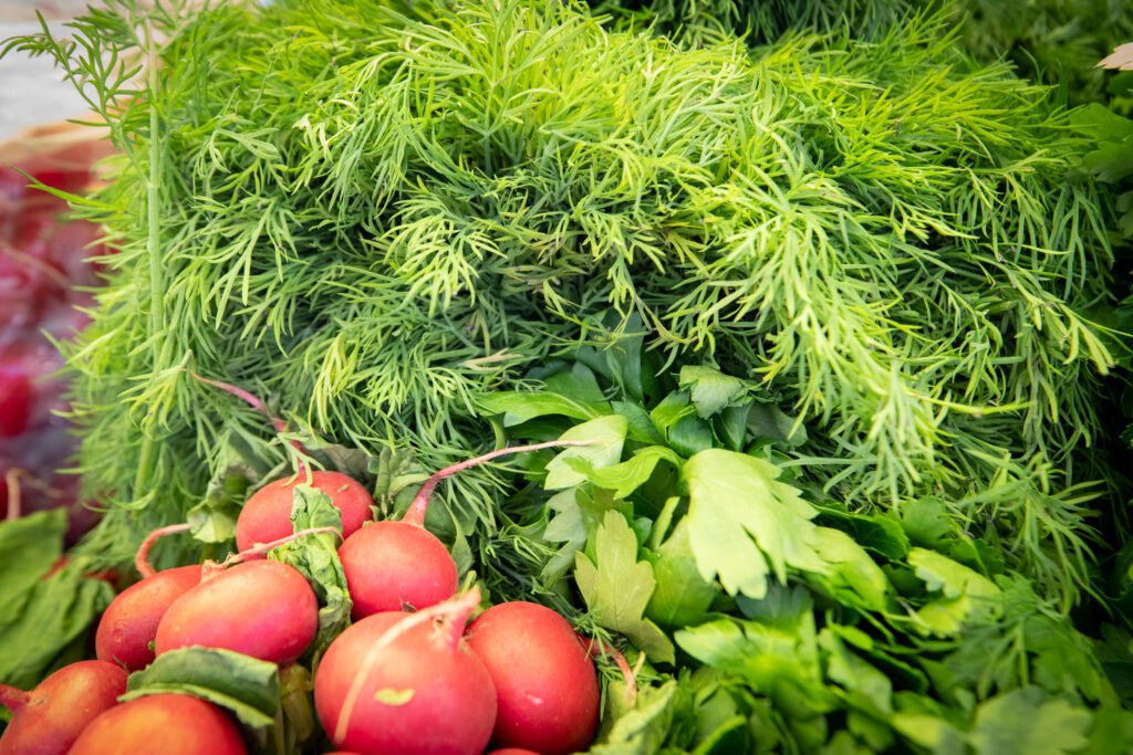 Продуктові сільськогосподарські ярмарки у Києві (фото: google)