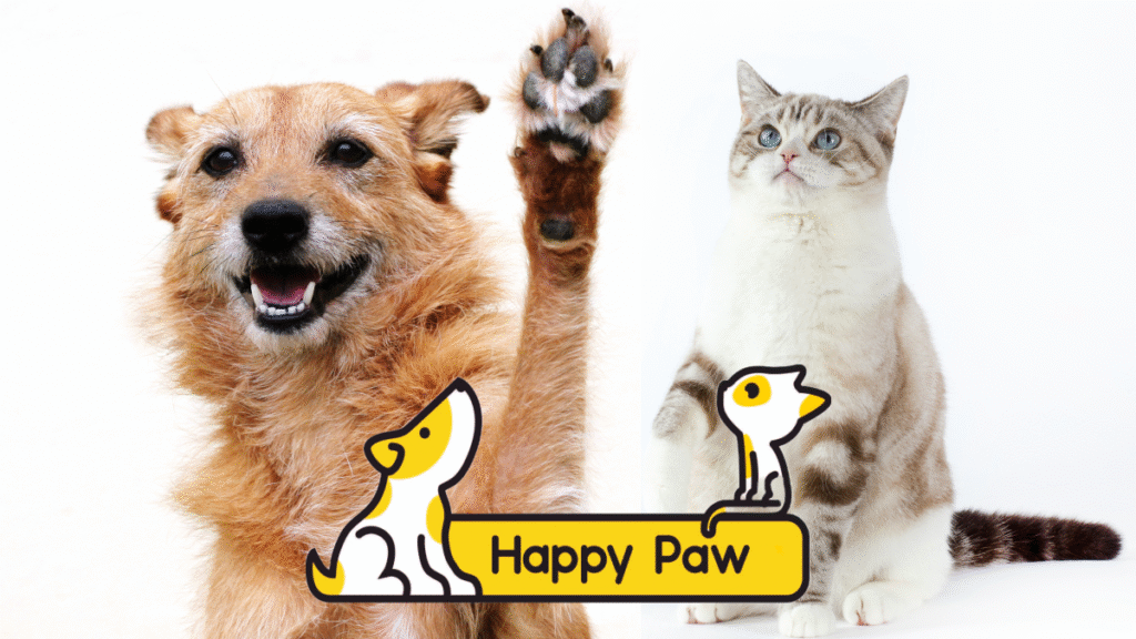 Happy Paw — фонд для тварин по всій Україні