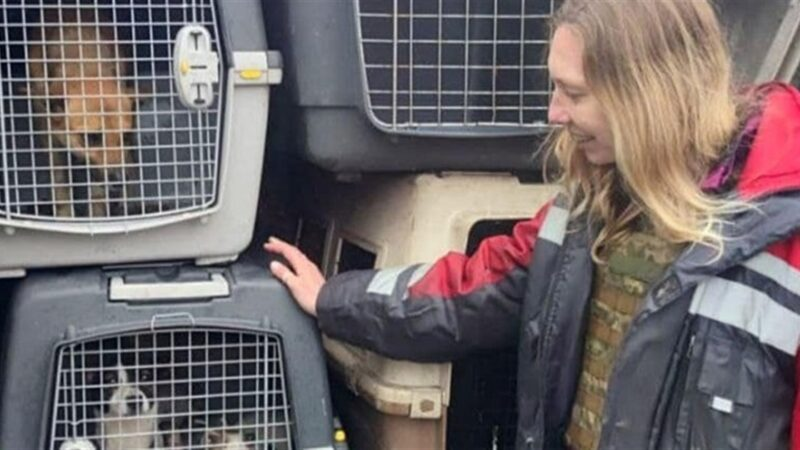 Kyiv Animal Rescue Group (KARG)