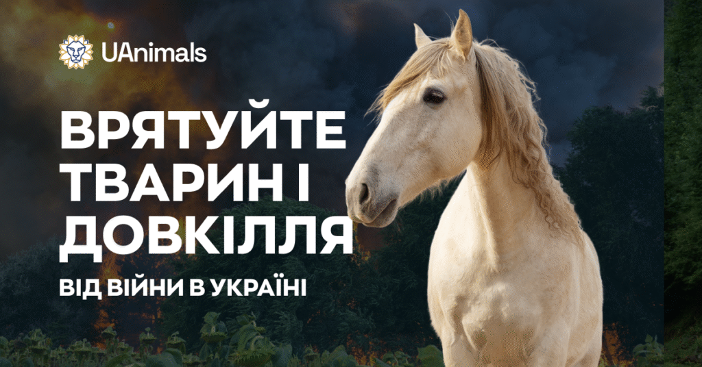 UAnimals — потужна сила зоозахисту