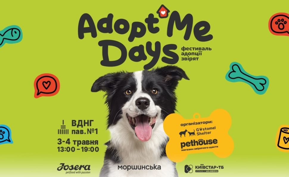 Фестиваль адопції тварин у Києві AdoptMe Days (фото: google)
